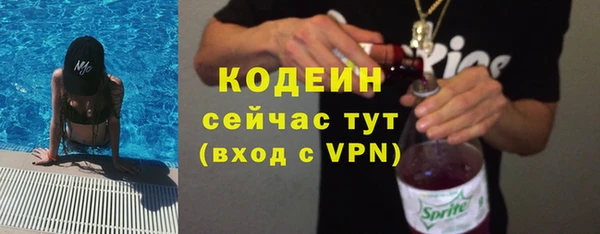 сатива Новозыбков