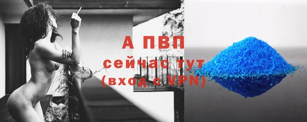 сатива Нефтекумск