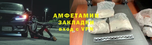 сатива Новозыбков