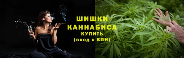 сатива Нефтекумск
