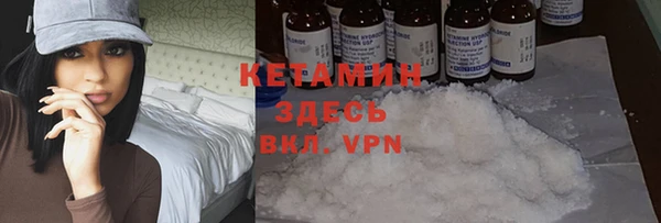 сатива Новозыбков