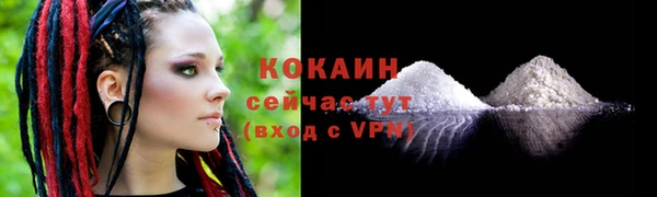 сатива Новозыбков