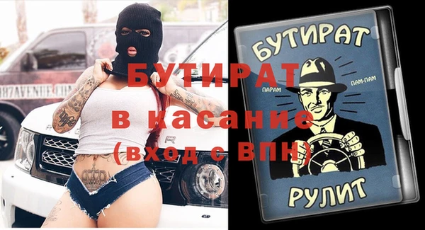 сатива Новозыбков