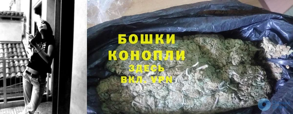 сатива Нефтекумск