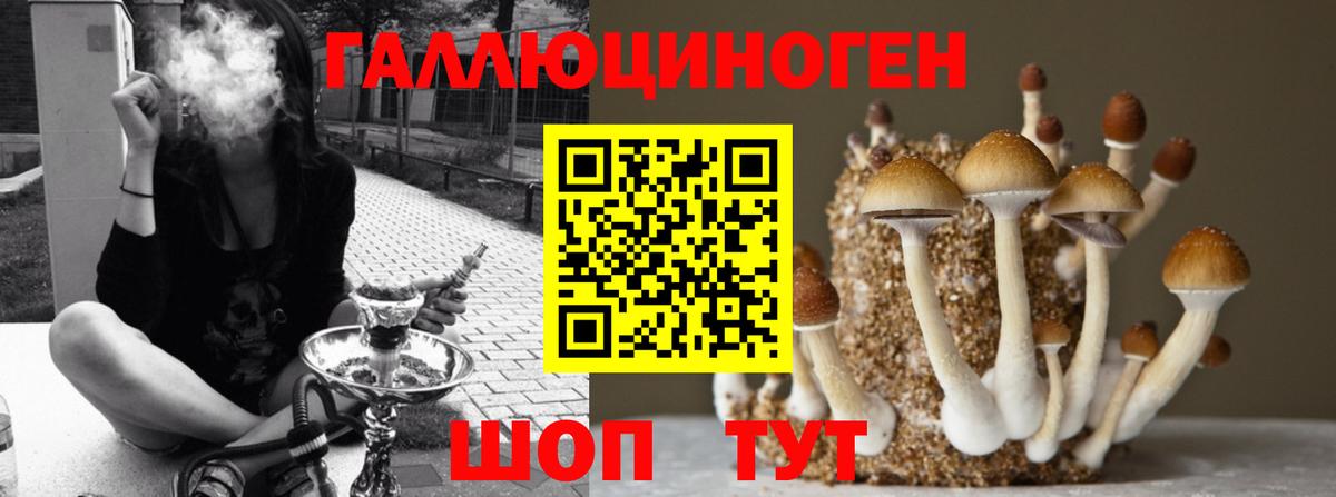 Нефтекумск  Псилоцибиновые грибы MAGIC MUSHROOMS  купить наркоту  Вход с VPN  Галлюциногенные грибы Psilocybine cubensis 
